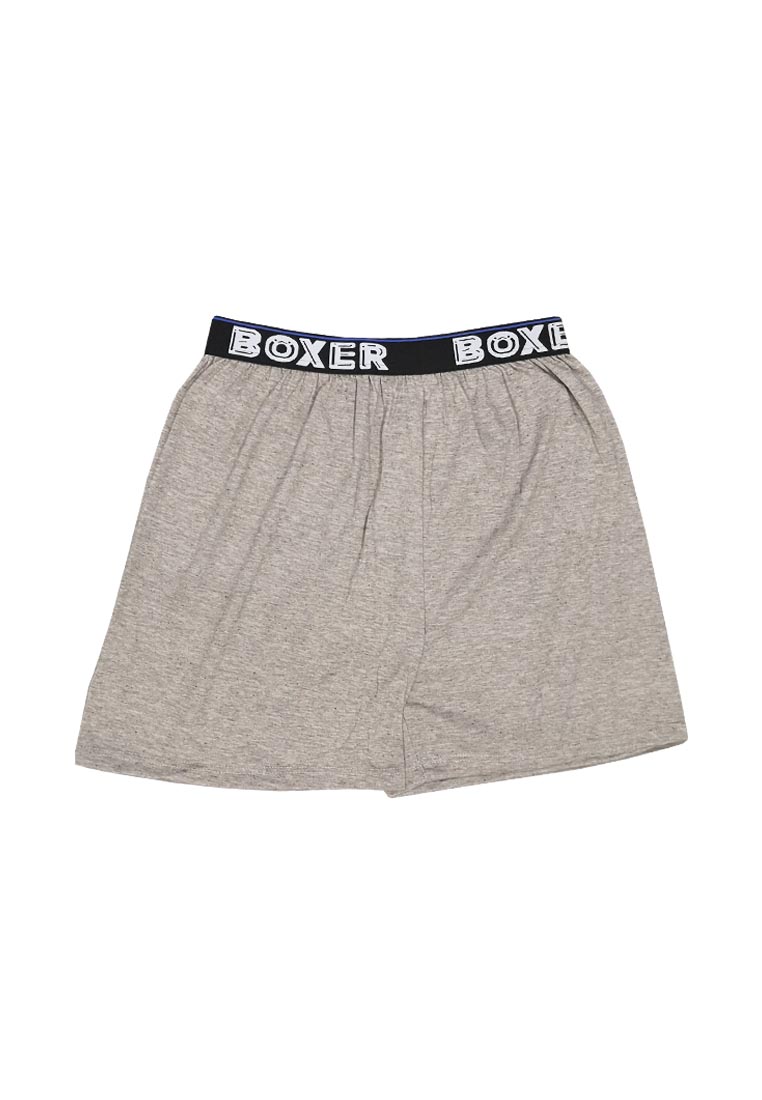 Men's Boxer / Seluar Dalam Lelaki Dewasa | eHari