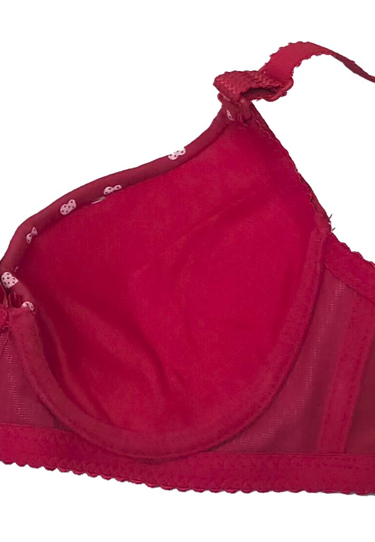 Women's Bra A Cup / Wired / Baju Dalam Wanita Ada Besi eHari